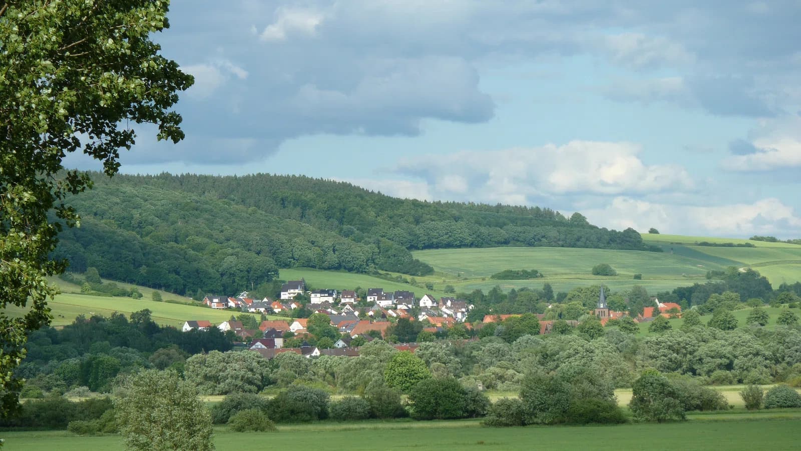 Vogelbeck