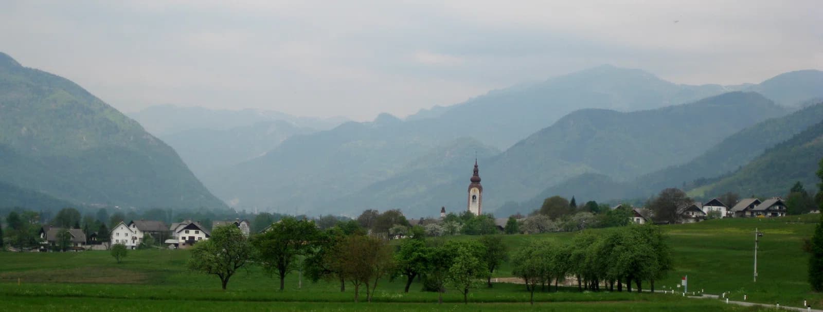 Rodine