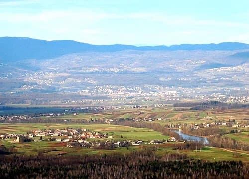 Griblje