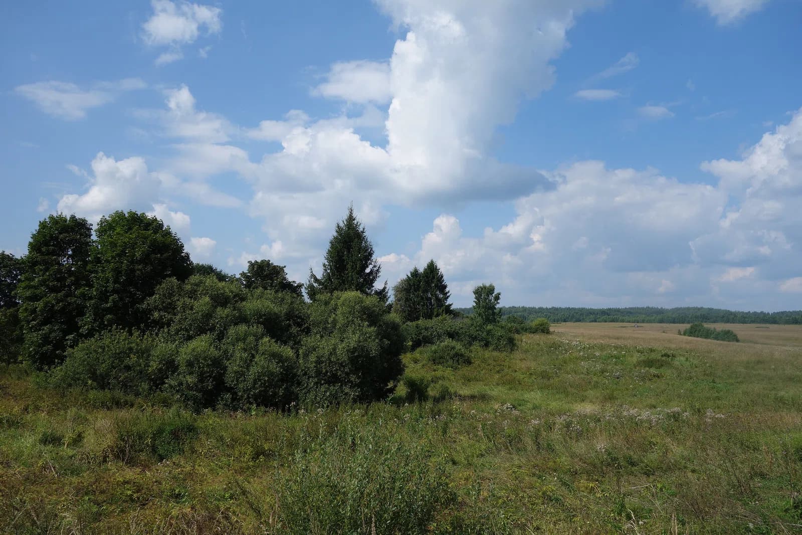 Novosokolnichesky District