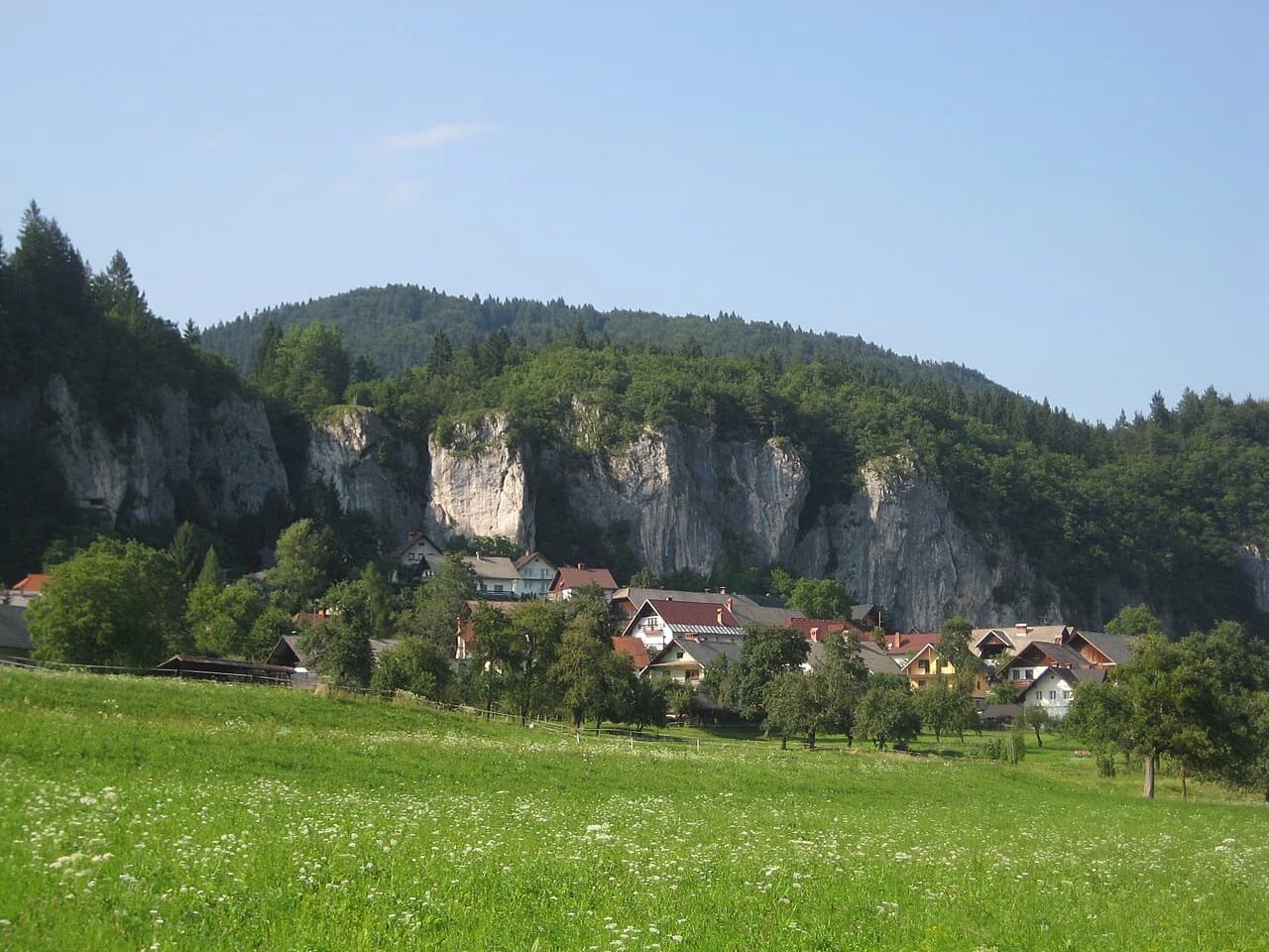 Bohinjska Bela