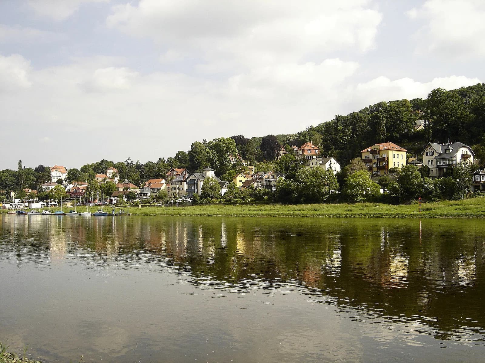 Wachwitz