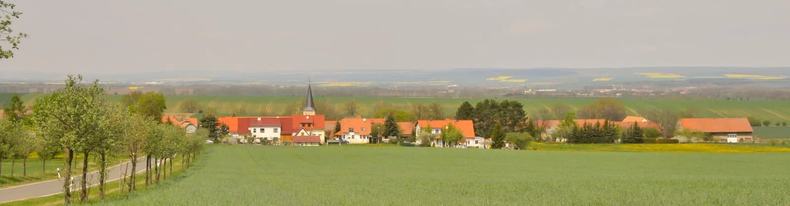 Waldstedt