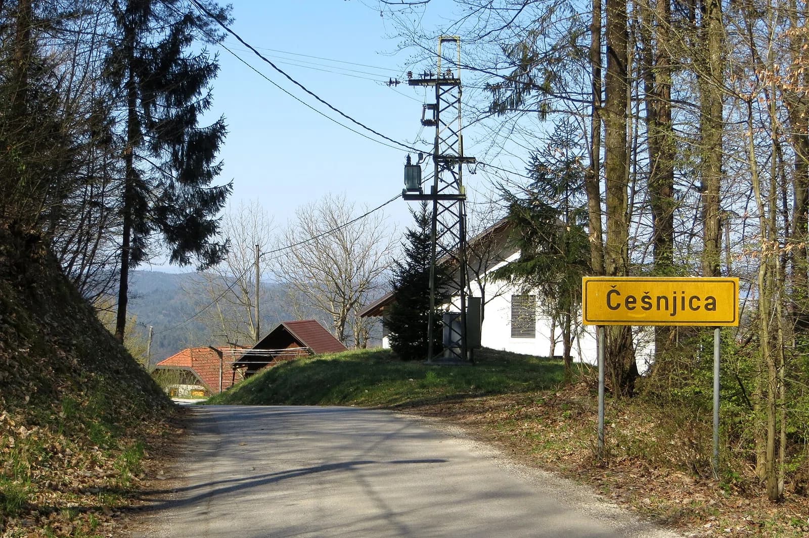 Češnjica