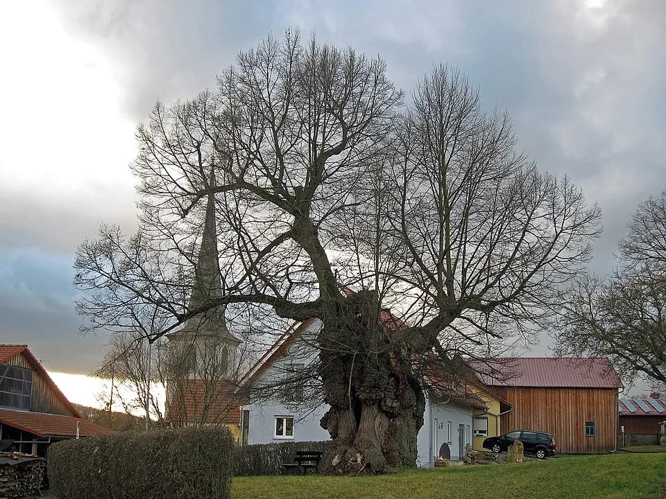 Wargolshausen