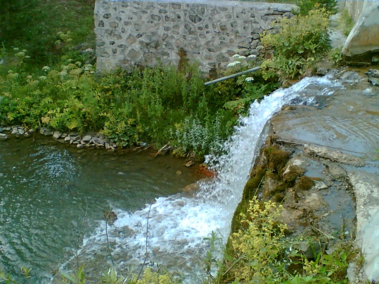 Tosya