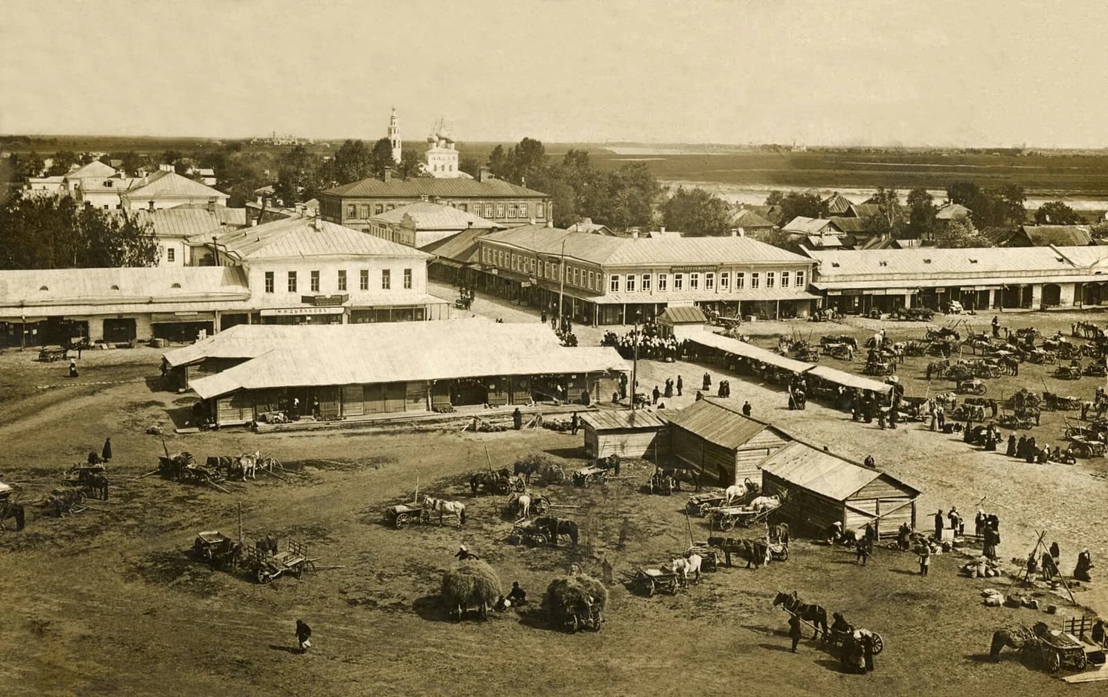 Mologa