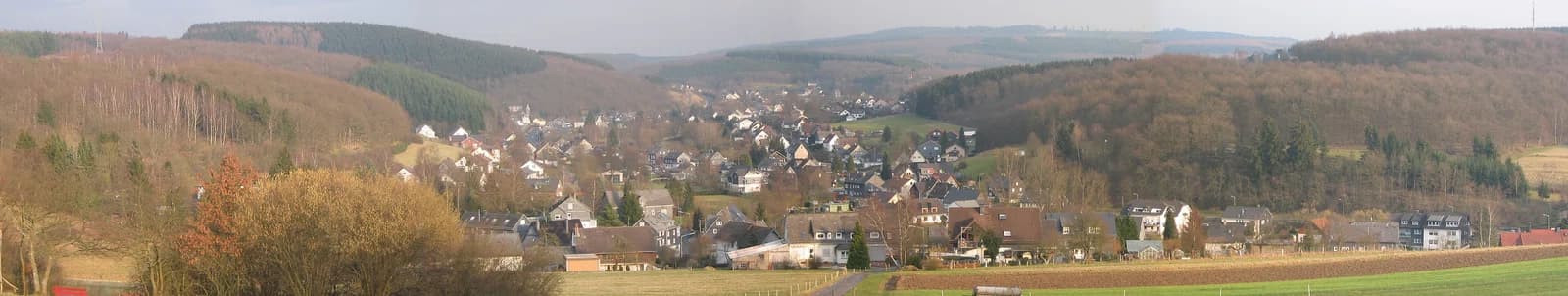 Wilden