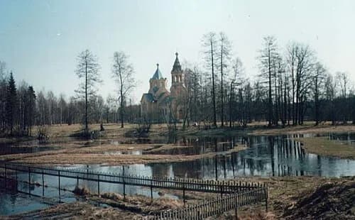 Tosnenski rajon