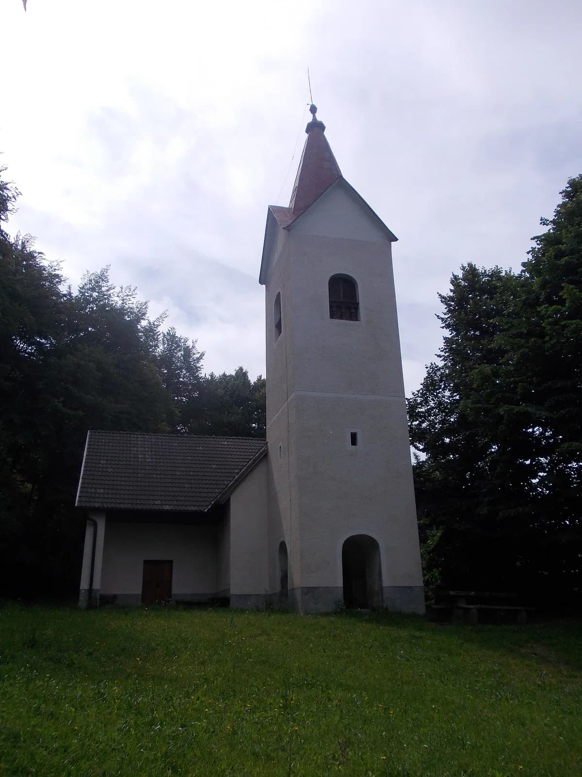 Polana