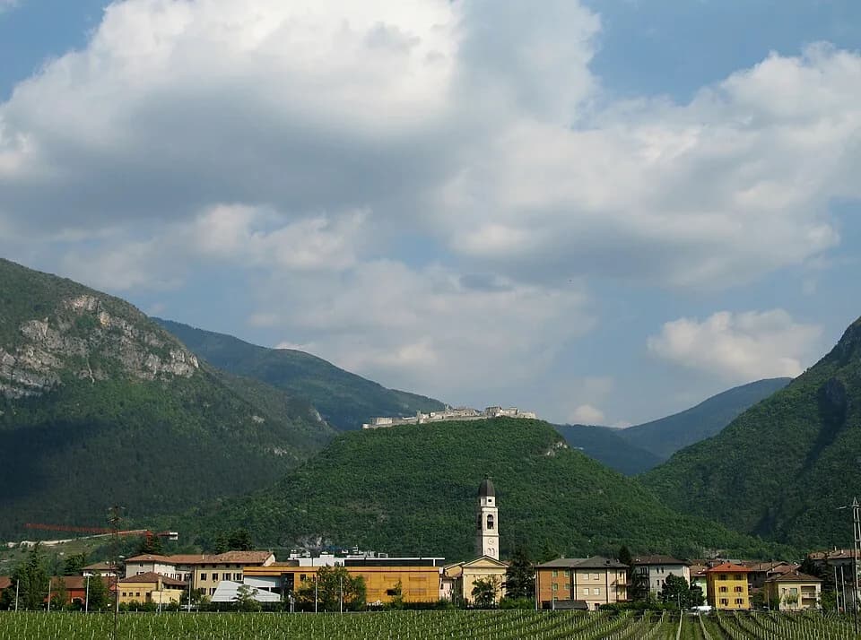 Calliano