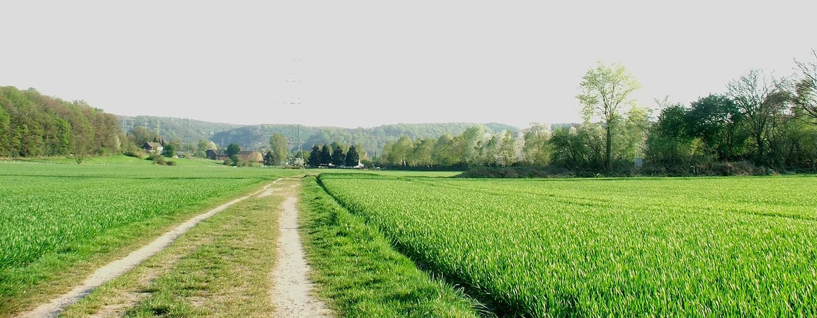 Winz-Baak
