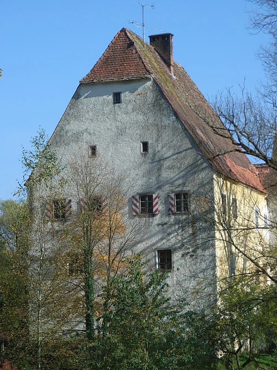 Aicha vorm Wald