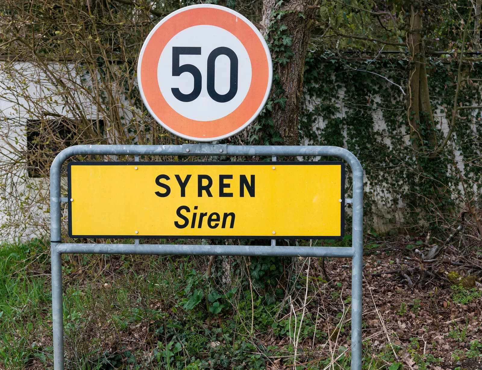 Syren