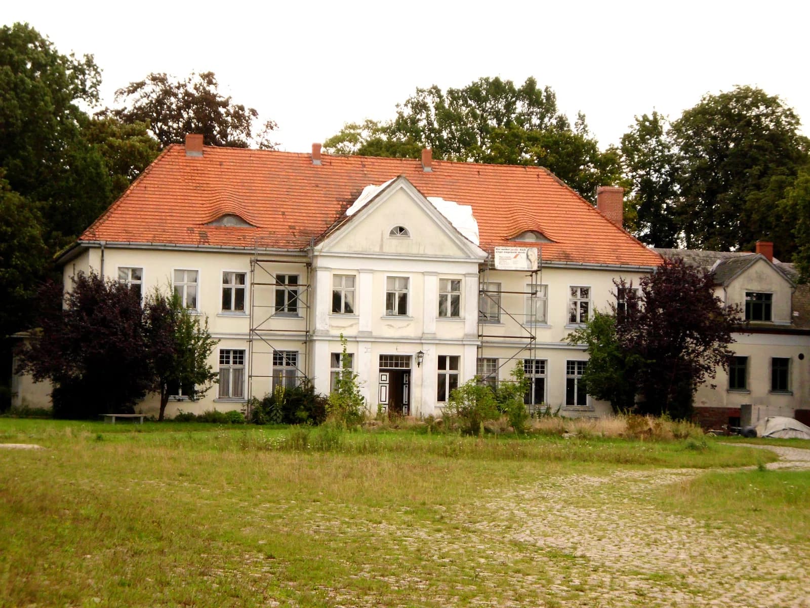 Wüsten-Buchholz