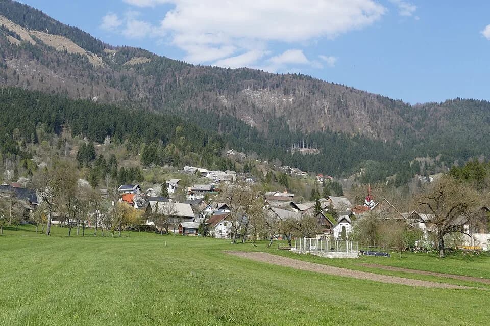 Leše