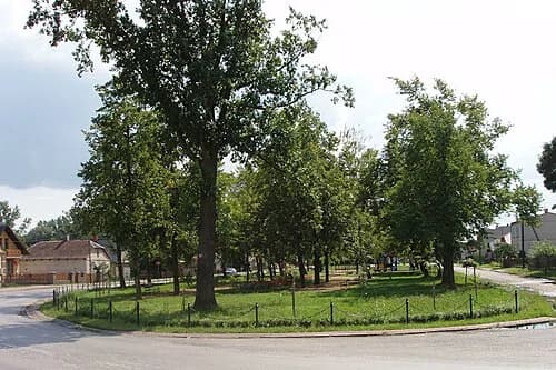 Sieciechów