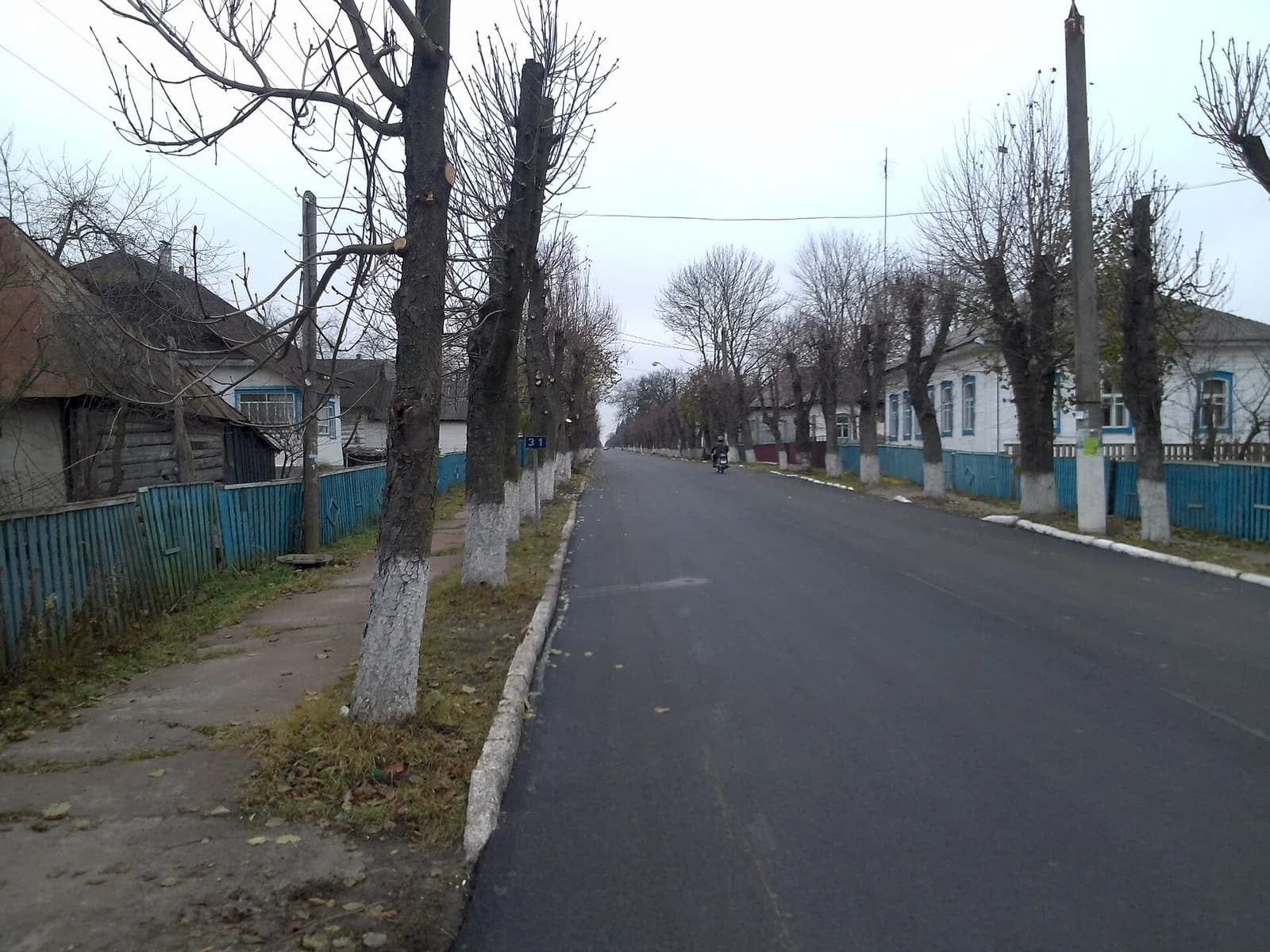 Narodytschi