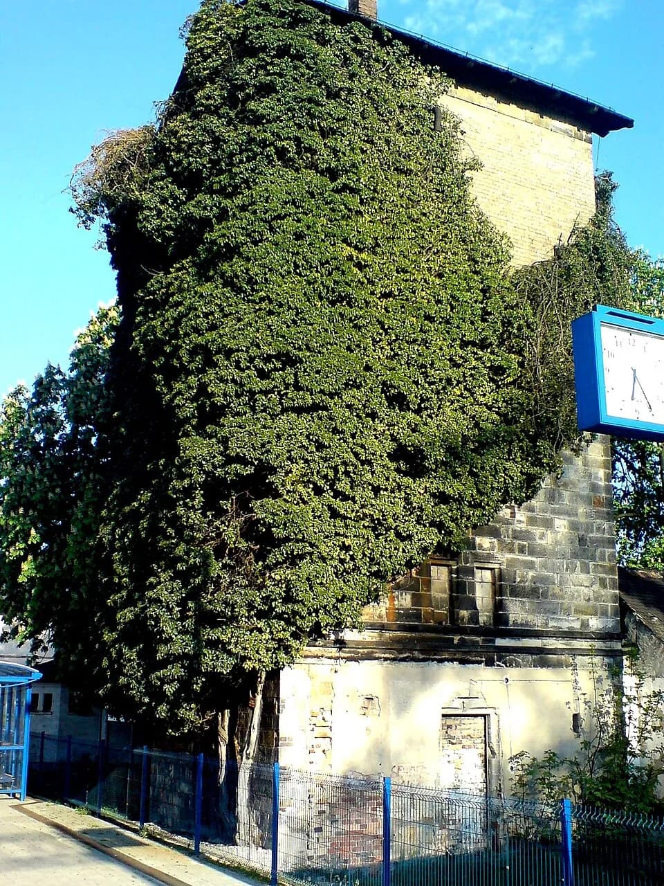 Zebrzydowa