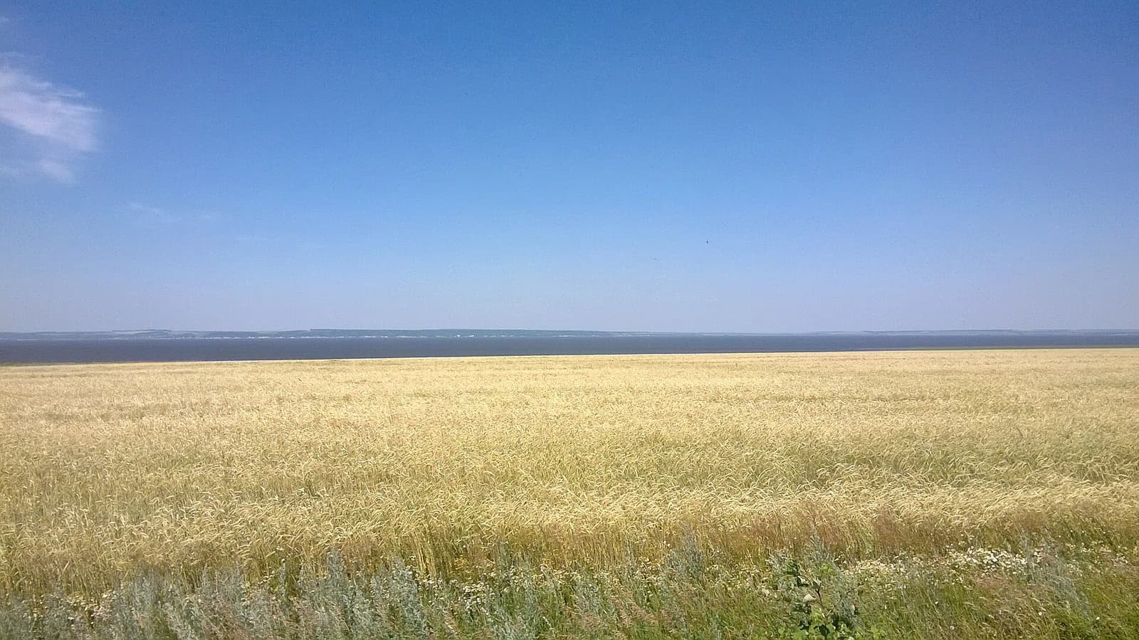 Alexeyevsky District
