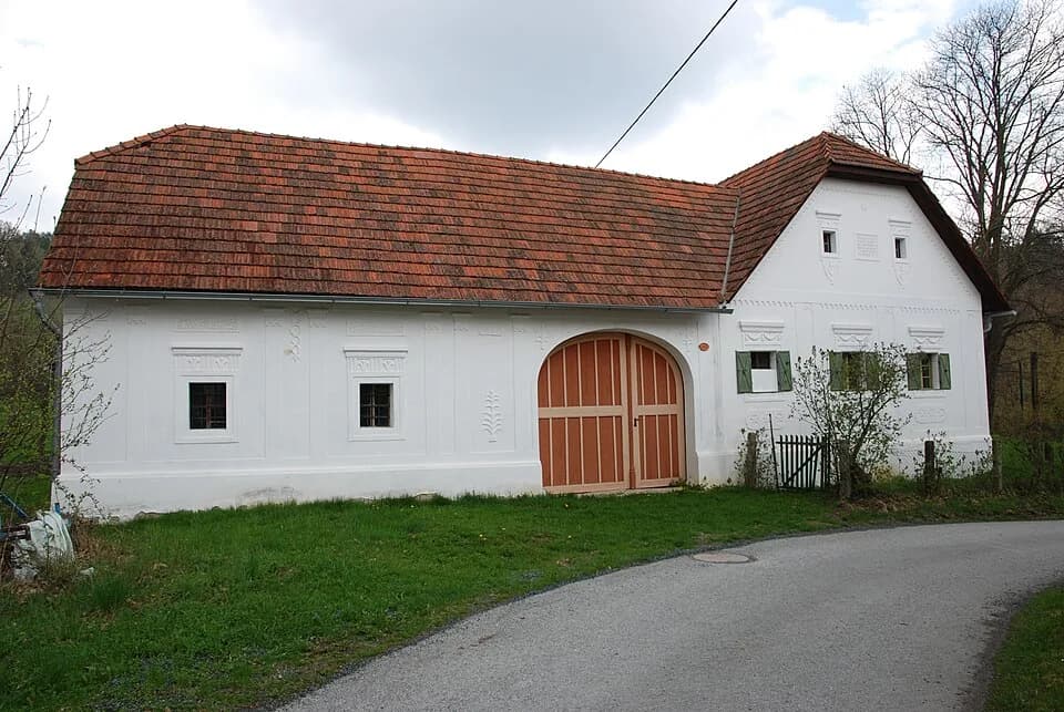 Weinberg im Burgenland