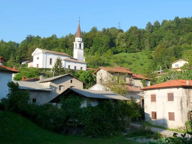 Avče