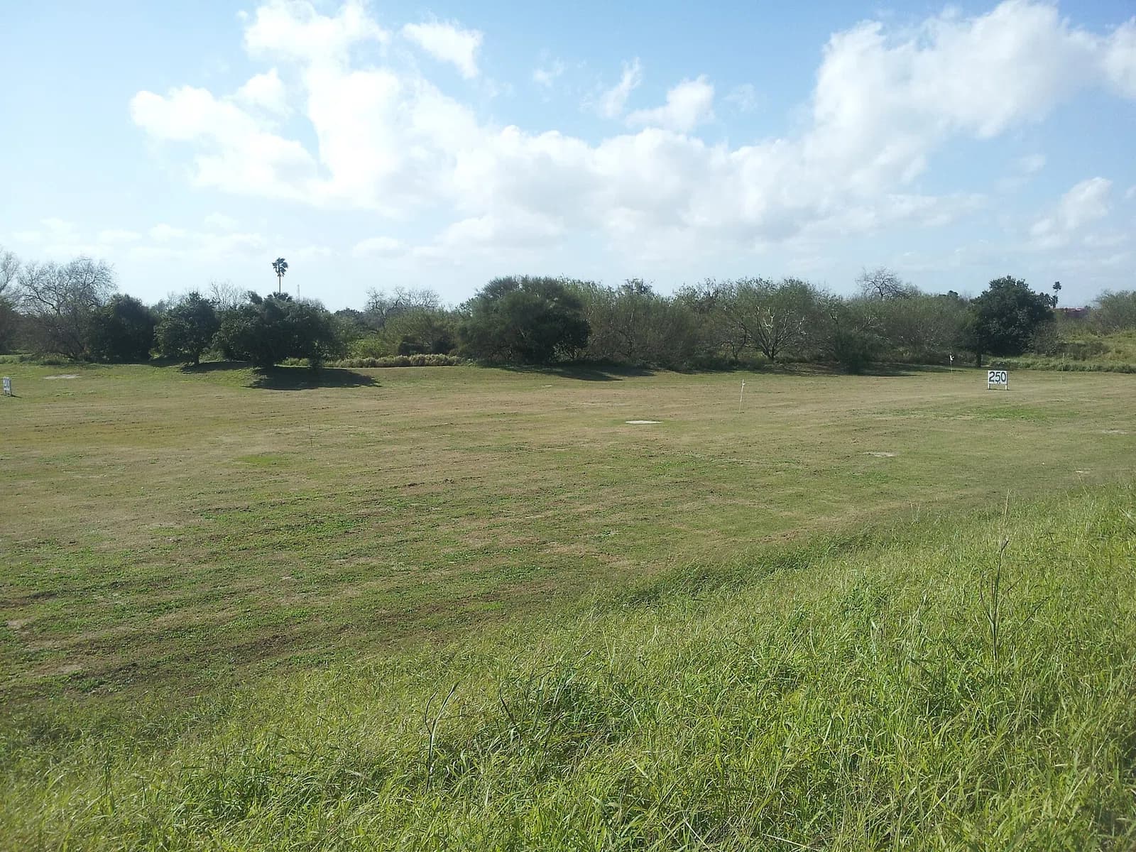 Fort Brown