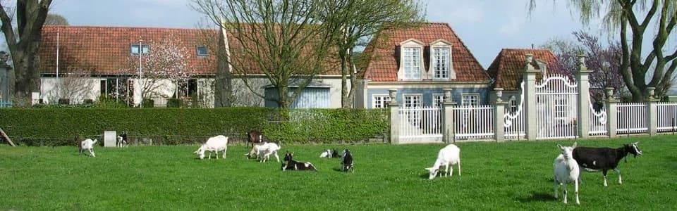 Binnenwijzend