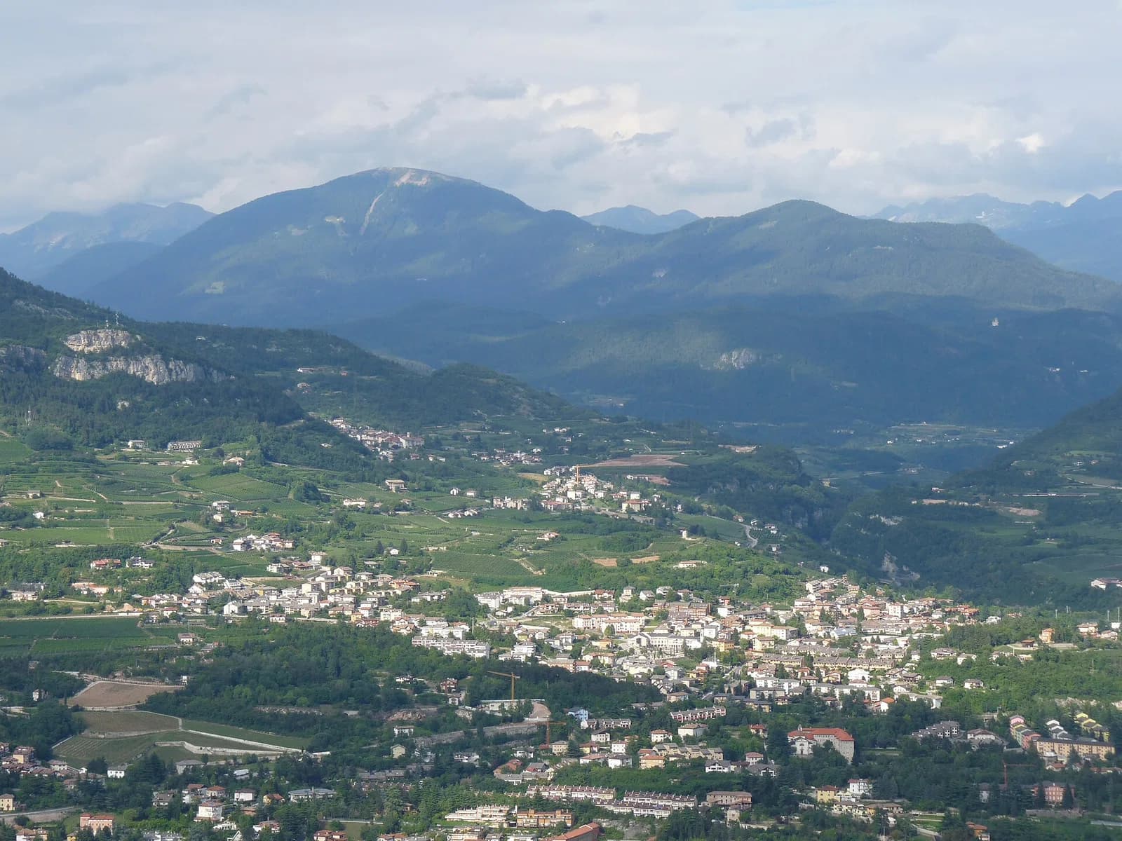 Cognola