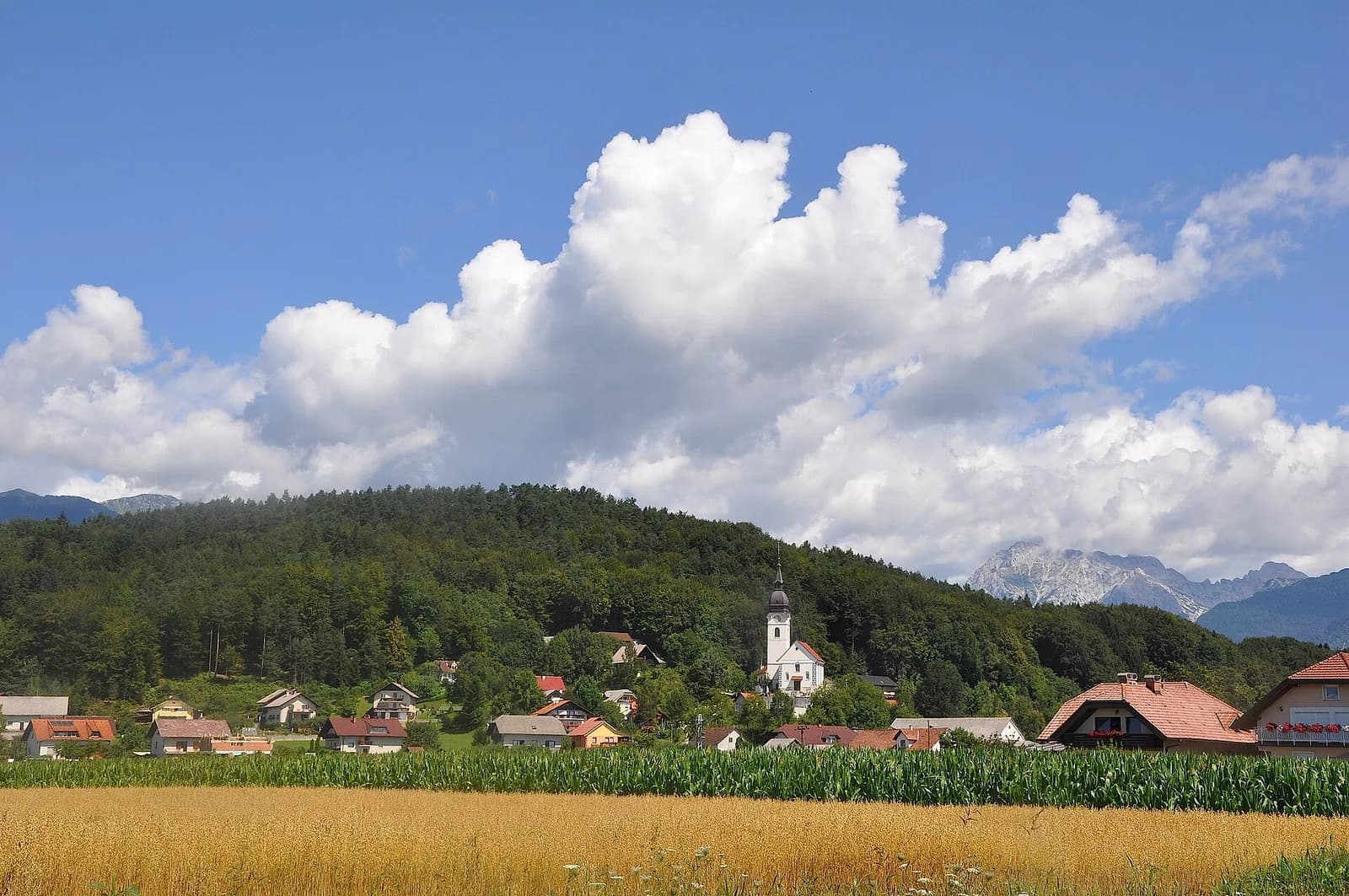 Podgorje
