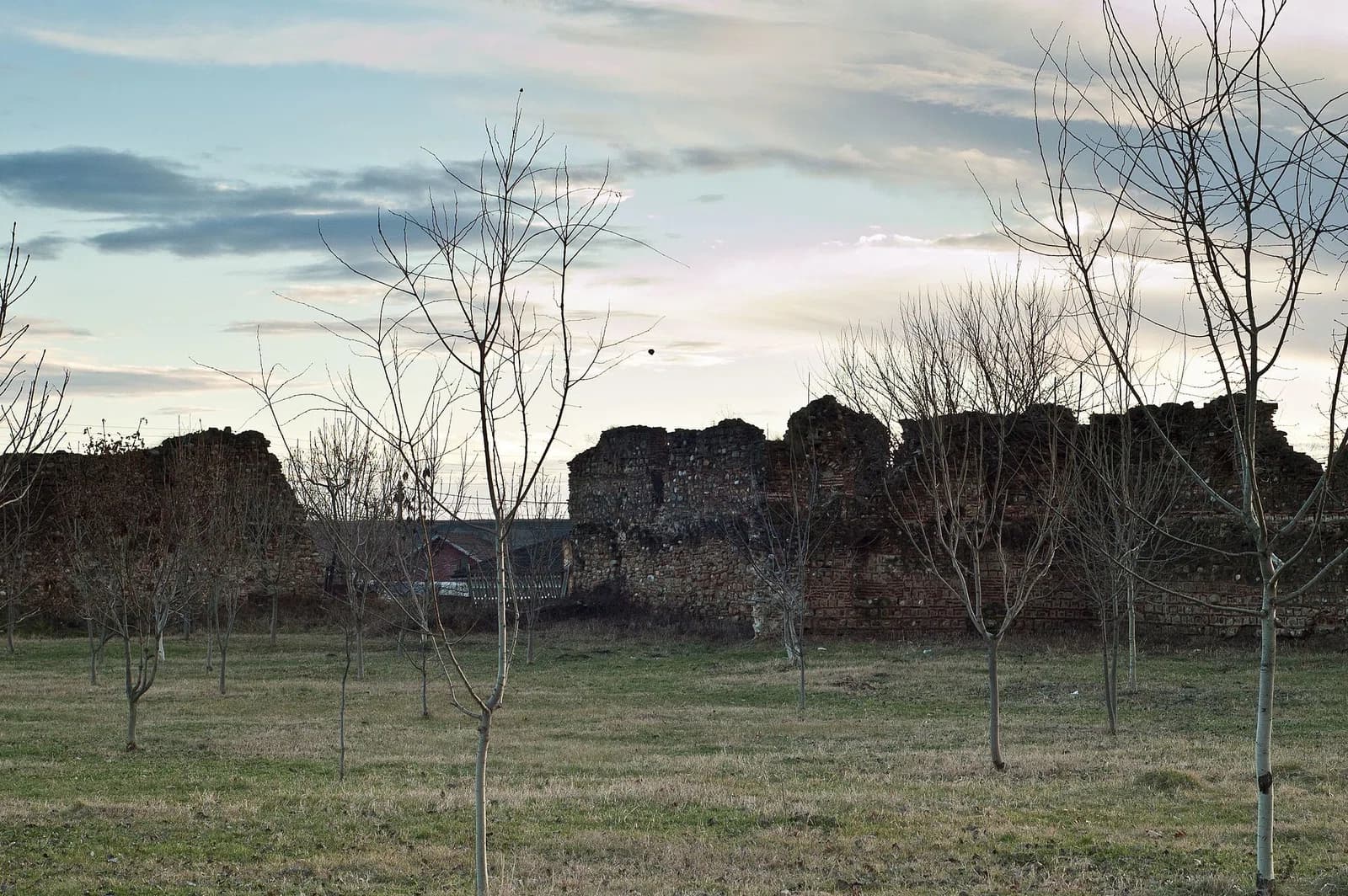 Doicești