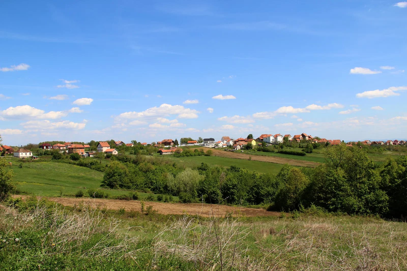 Gornja Grabovica