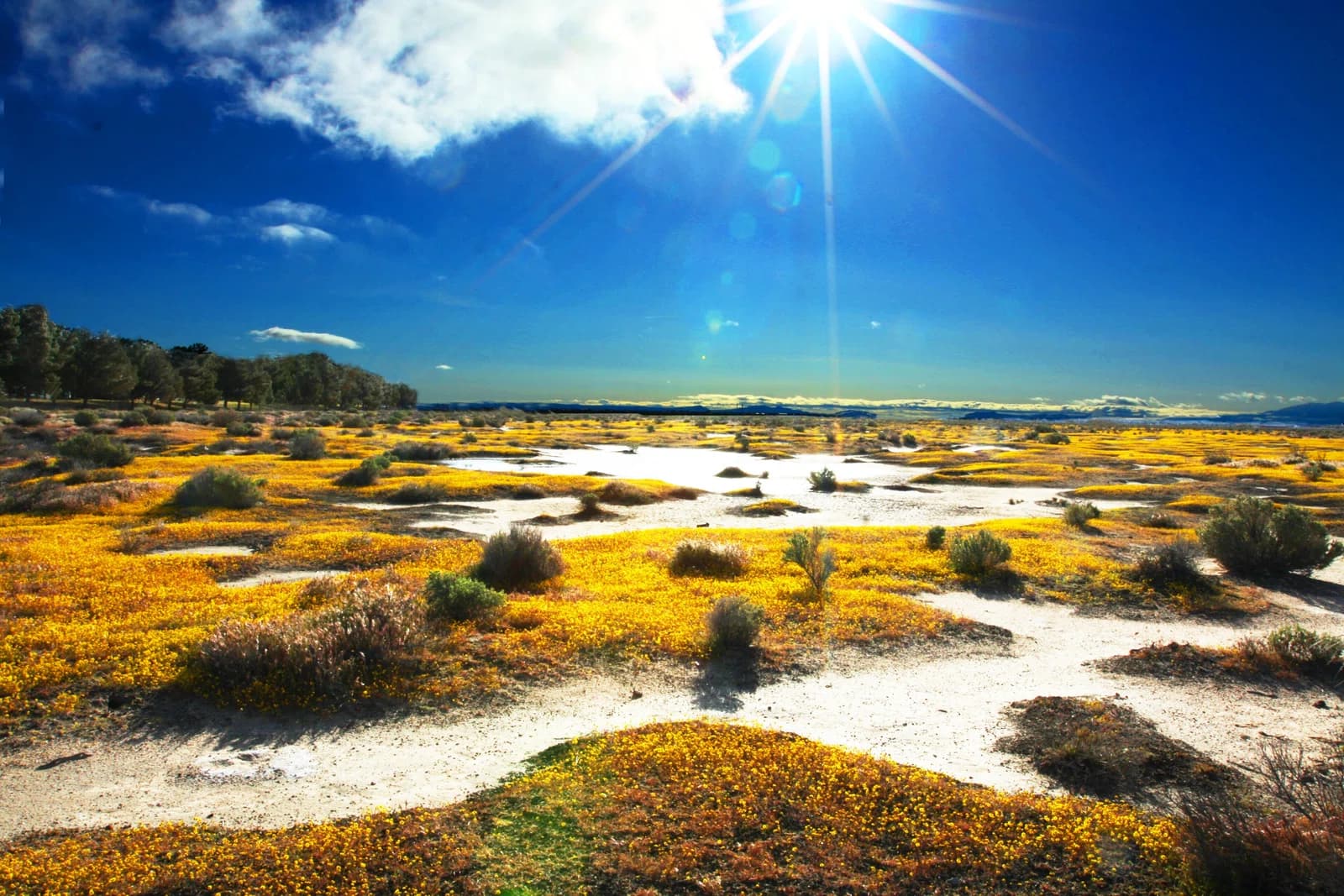 Antelope Valley