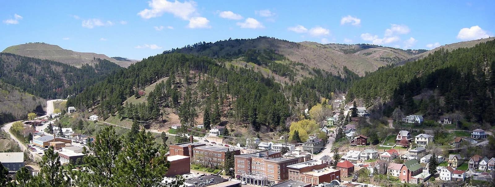 Deadwood