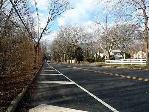 Scotch Plains