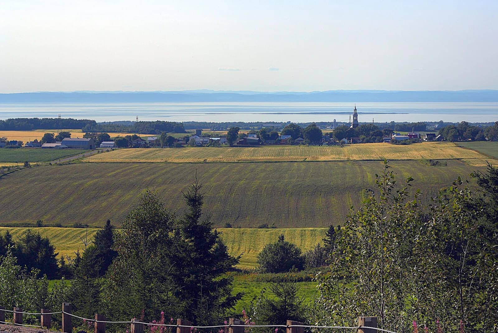 Saint-Éloi
