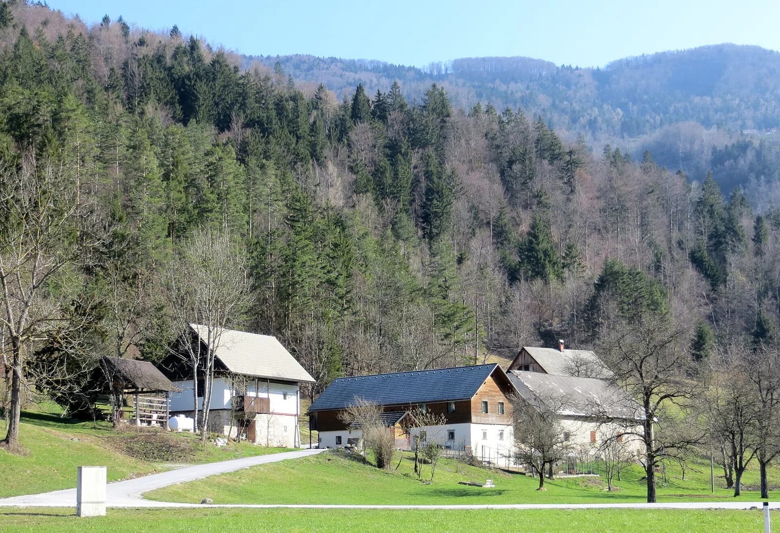 Kokra