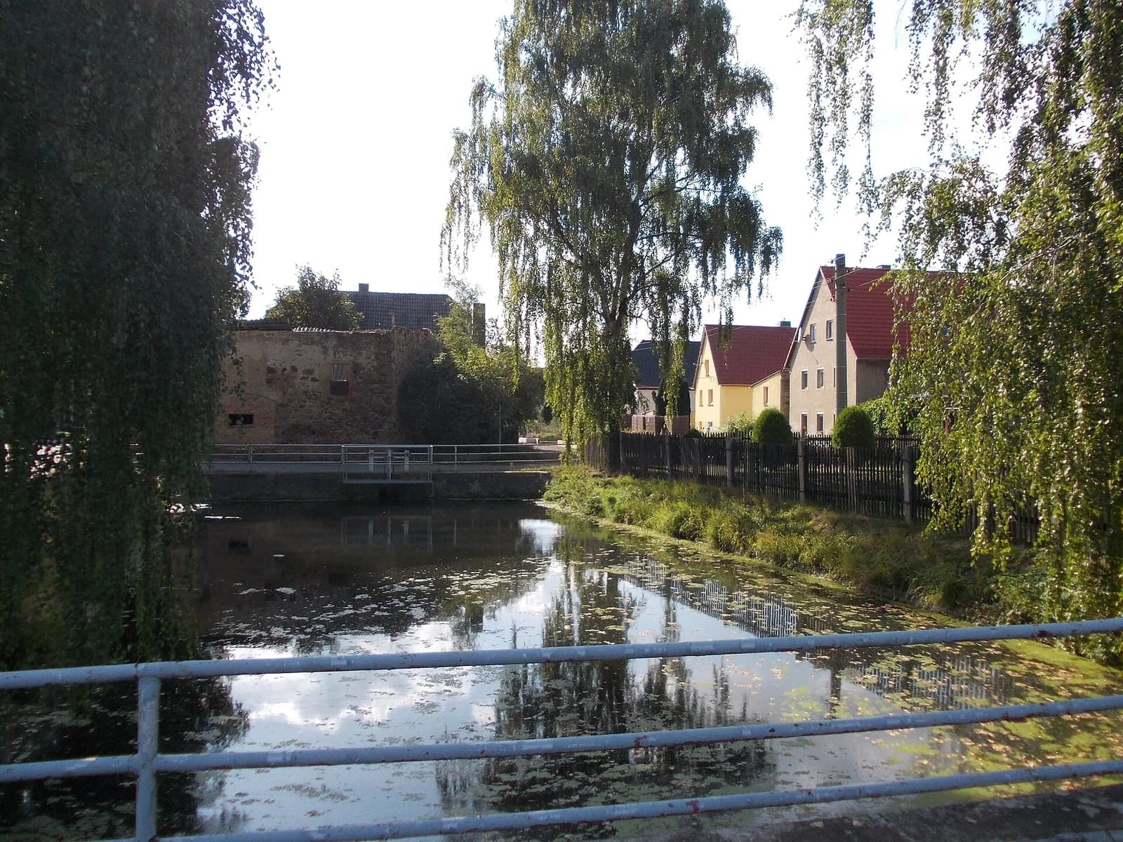 Terpitz
