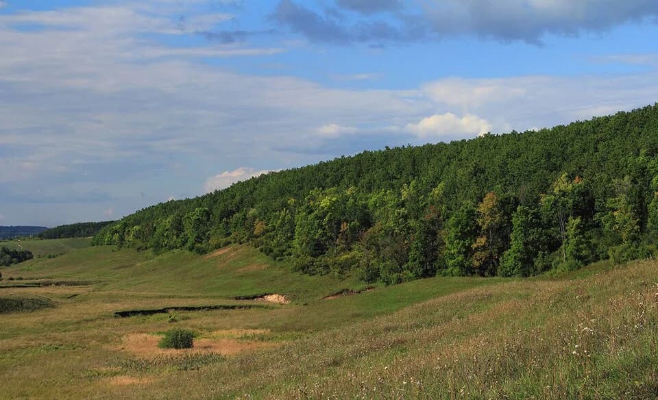 Kozlovsky District