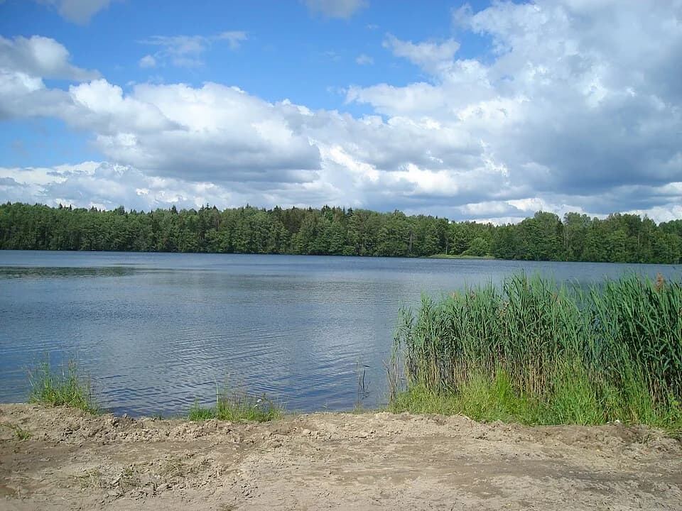 Zhukovsky District