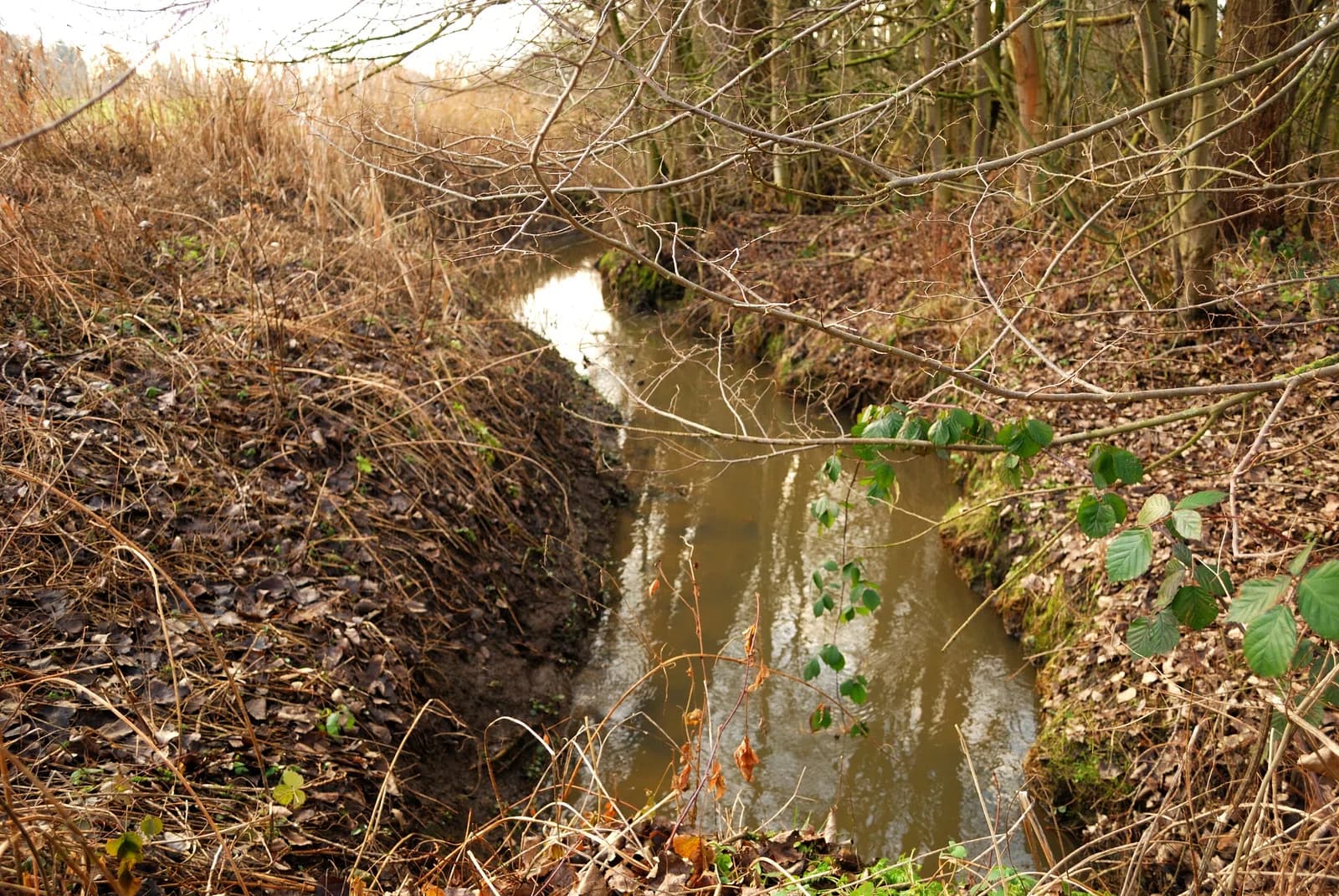 Sint-Martens-Bodegem