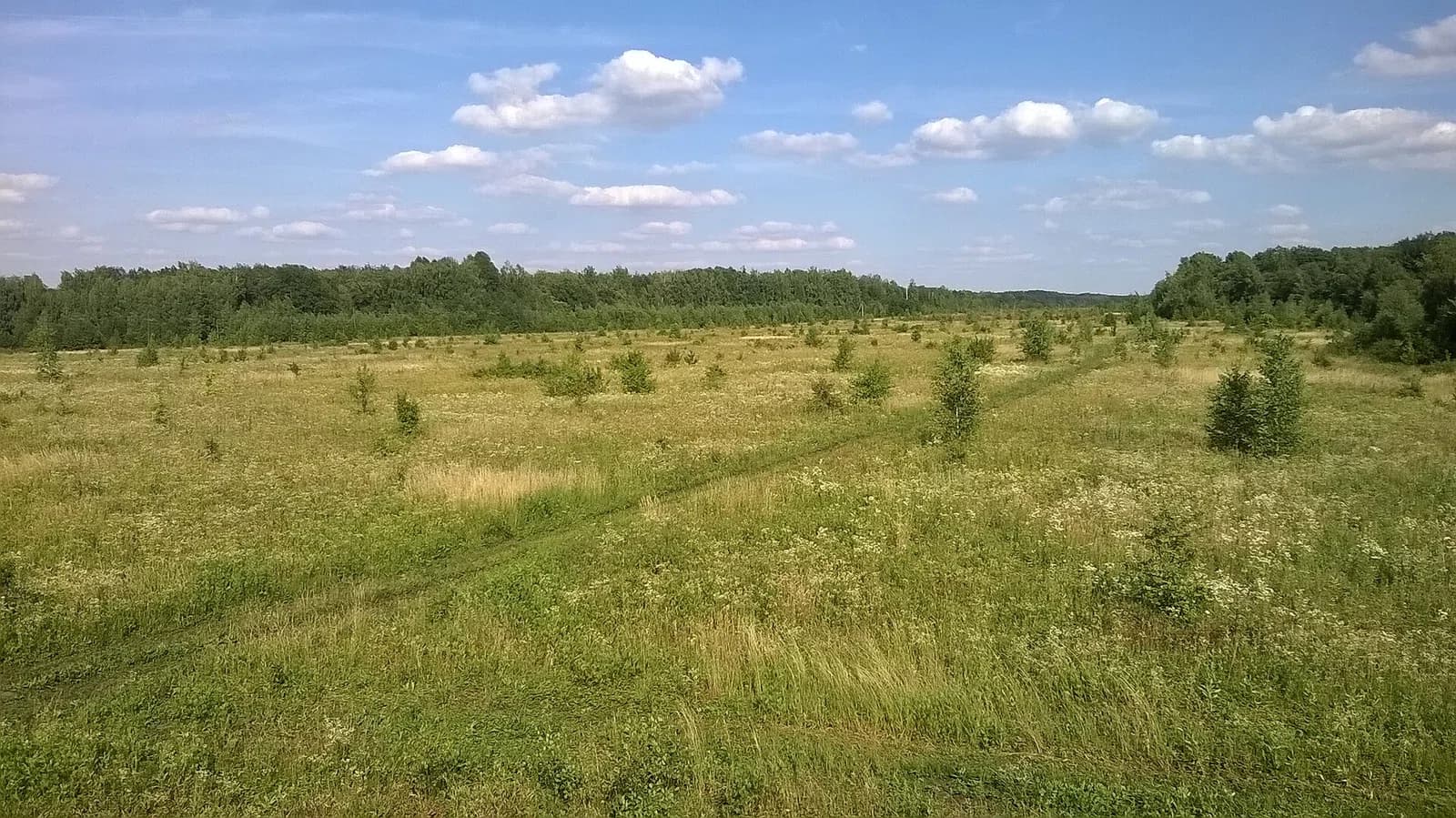 Solotuchinski rajon