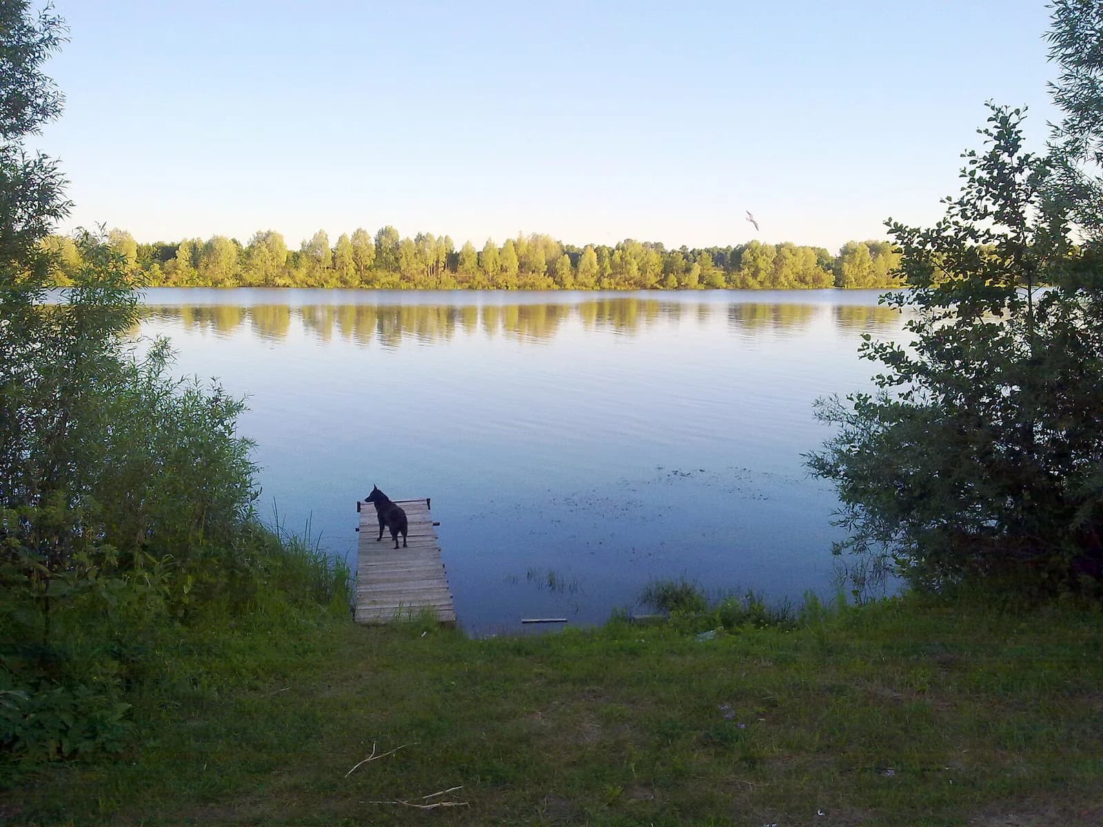 Yadrinsky District
