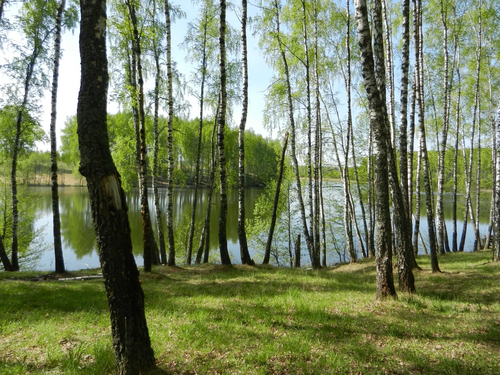 Roslawlski rajon