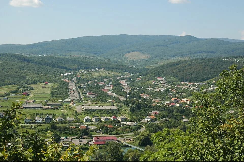 Kam'yanytsya