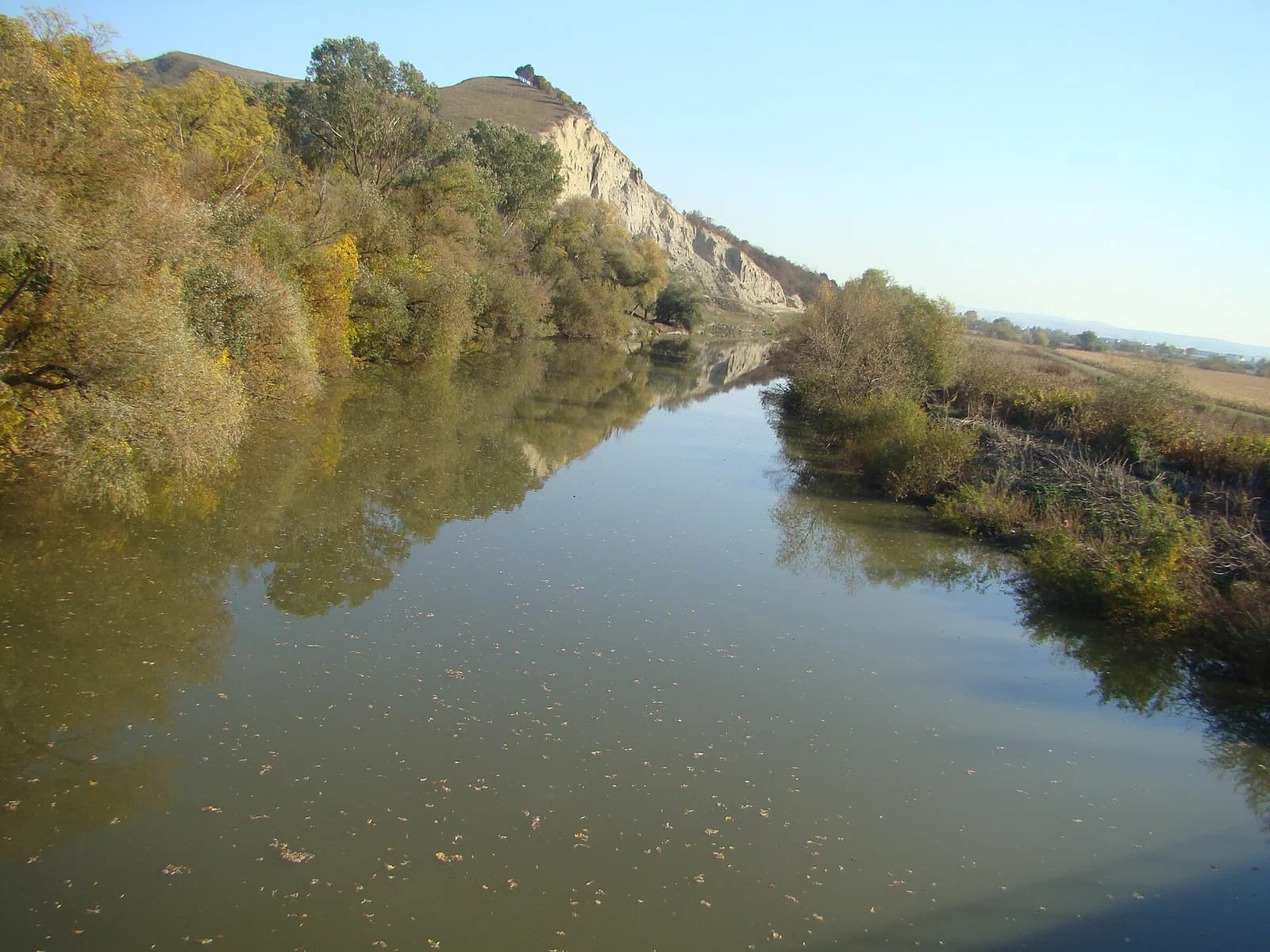 Lechința