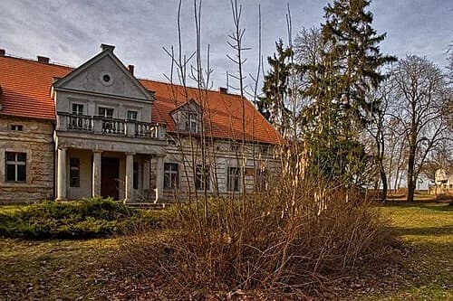 Czarnotki
