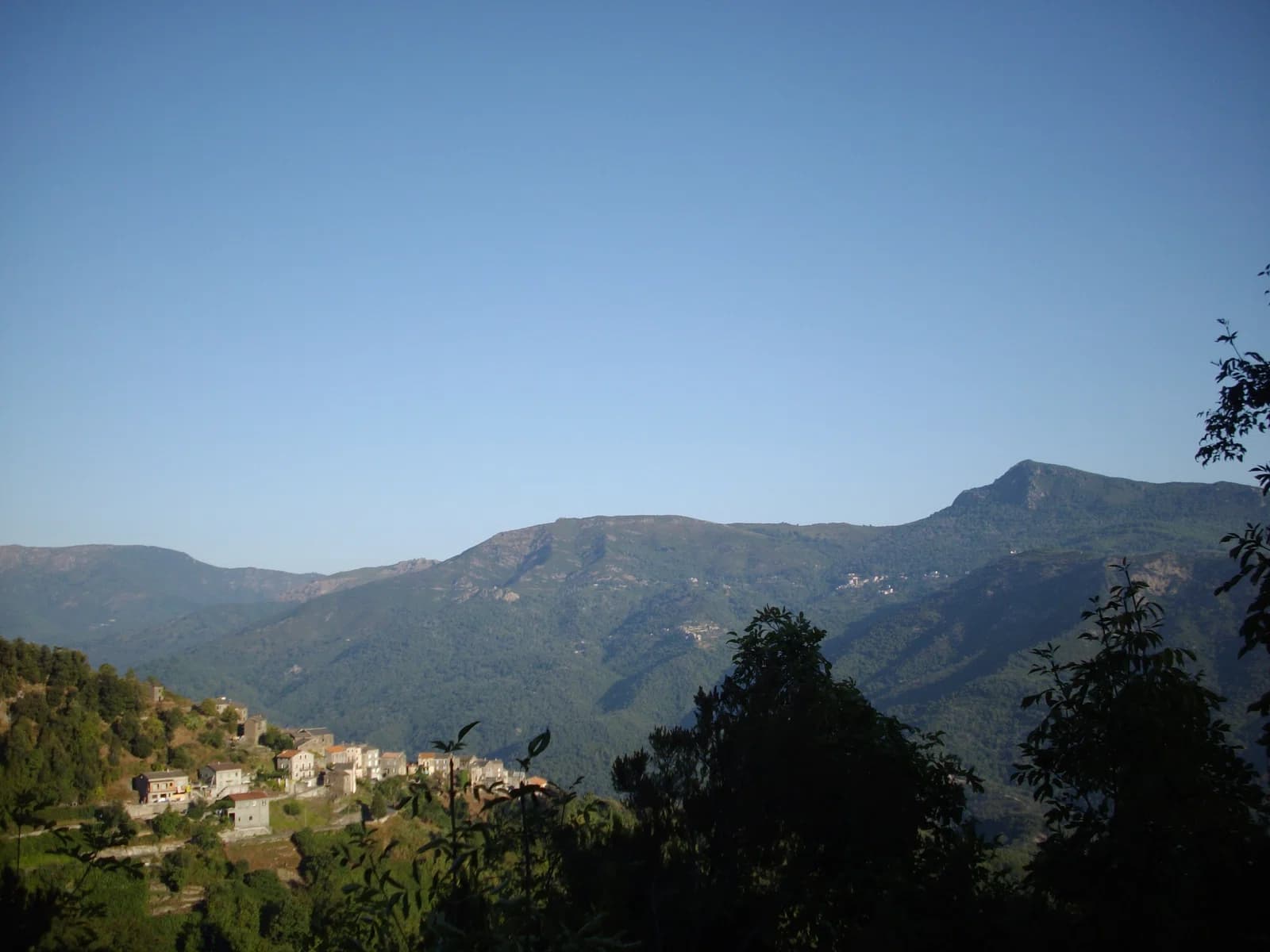 Pruno
