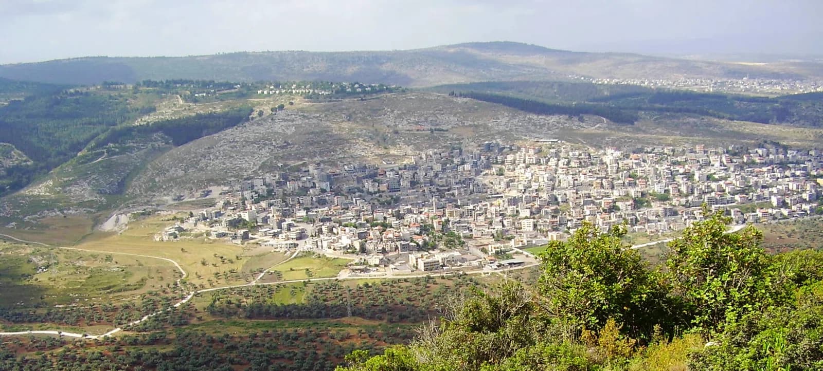 Sha'ab