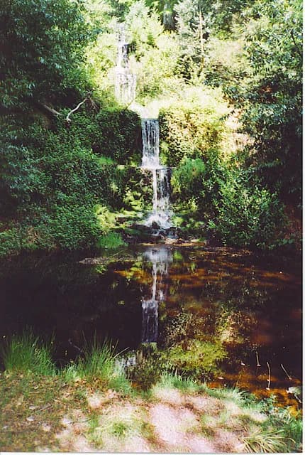 Wotton